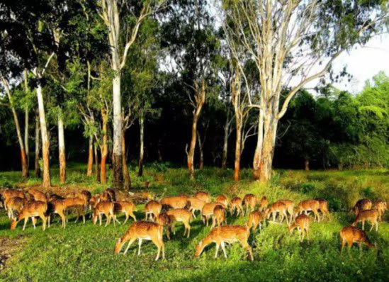 Kotgarh Wildlife Sanctuary